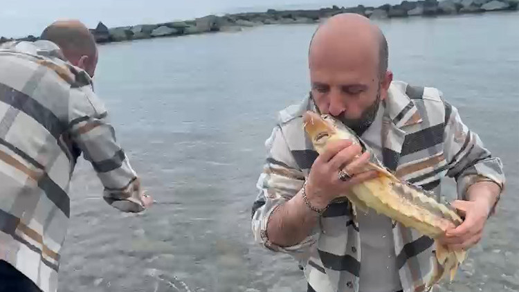 Satın aldığı balığı öpüp yeniden denize bıraktı: Çünkü nesli tehlikede