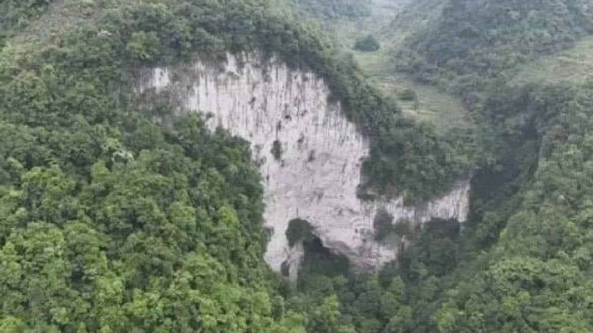 Böylesi de var: 78 milyar ağaç dikildi, ülkede ekolojik denge altüst oldu