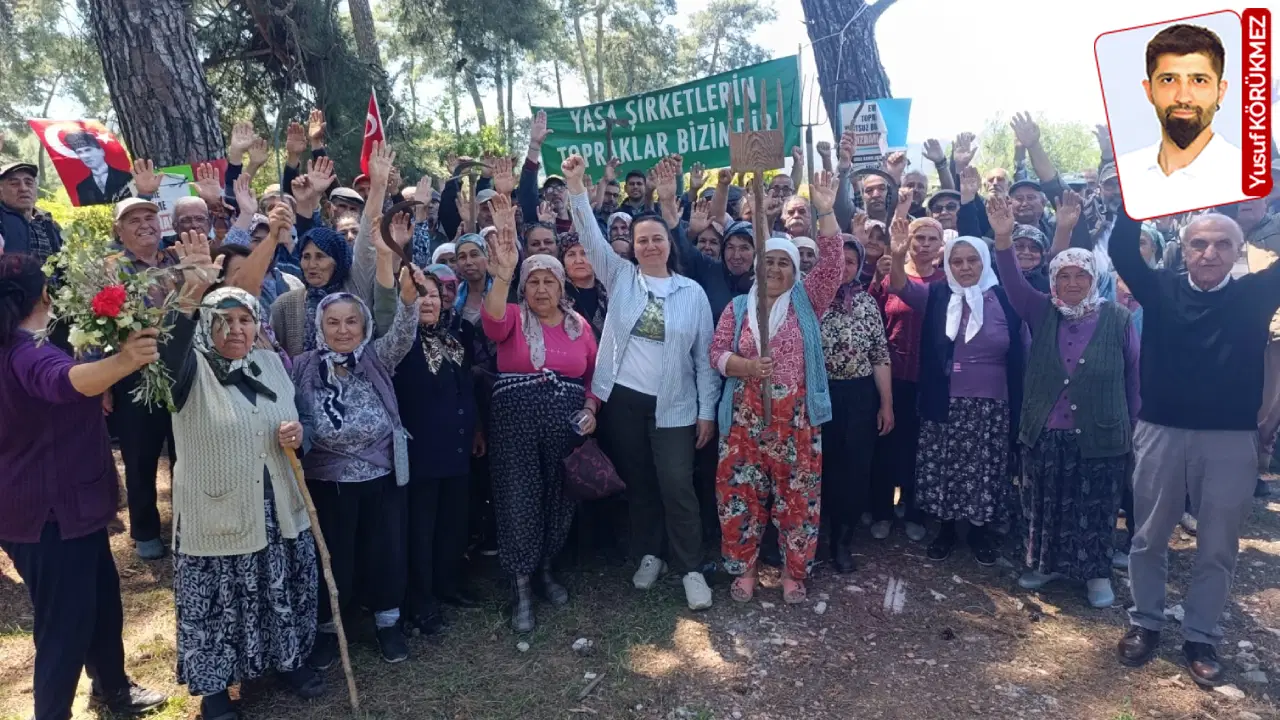 Danıştay’dan Akbelen kararı: Acele kamulaştırmanın yürütmesi durduruldu