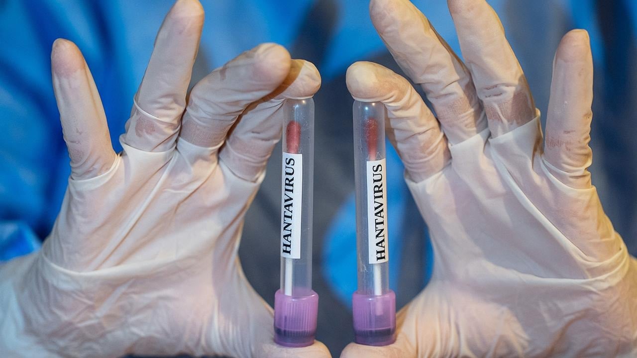 Gemideki doktor anlattı: Hantavirüs nasıl yayıldı