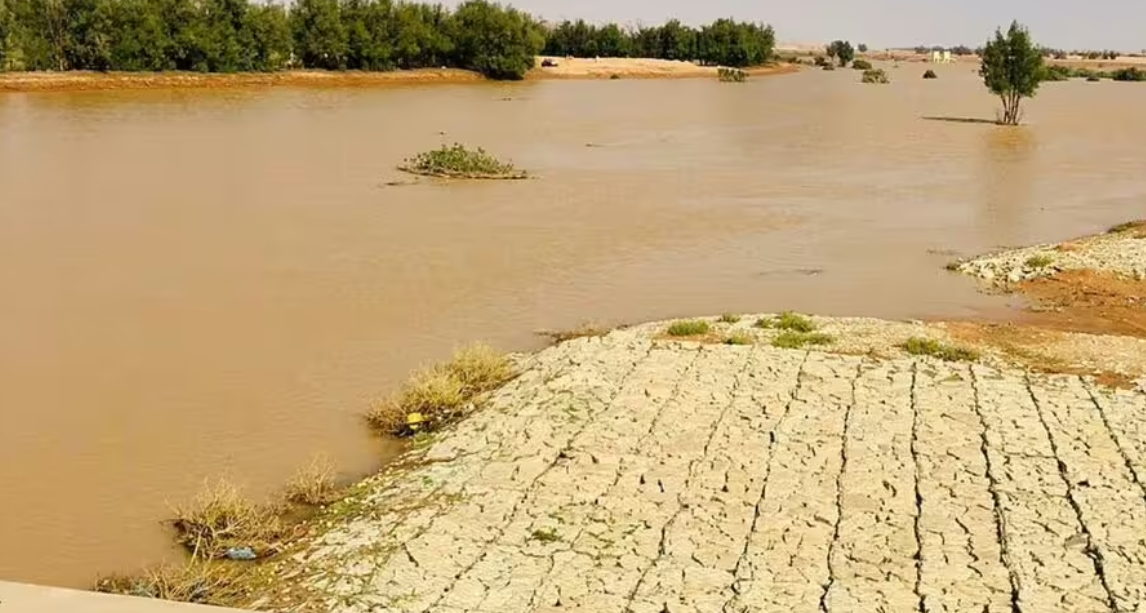 Dünyayı iki kez saracak boru döşüyor: Çölün ortasına yeraltı ırmağı