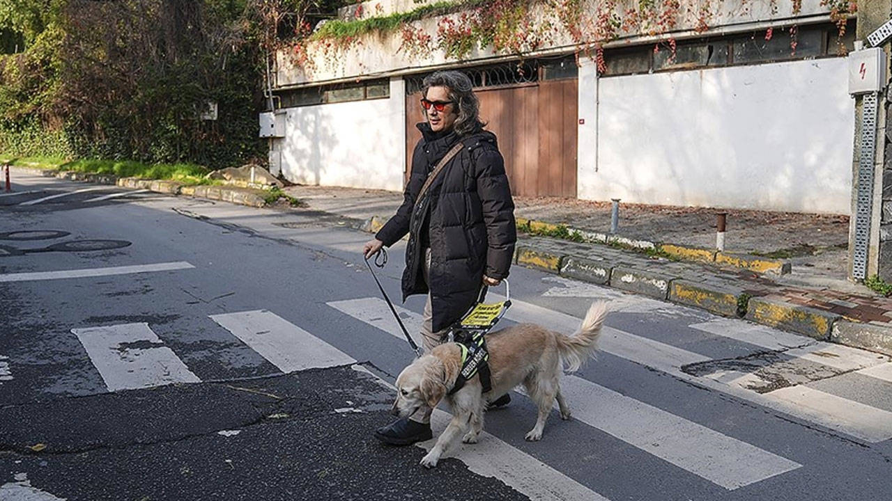 Rehber köpek sayısı sadece sekiz: 300 görme engelli sırada bekliyor