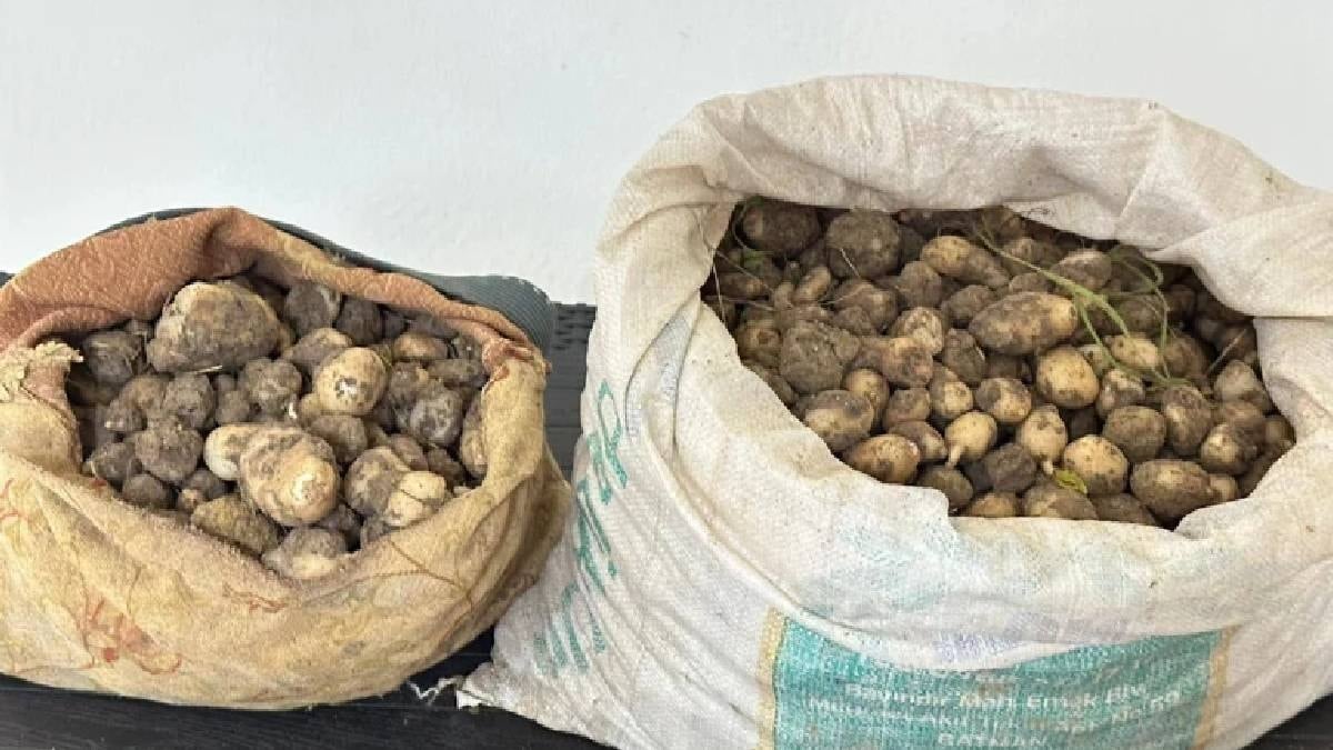 Bir daha ağızlarına bile sürmezler: Kaçakçılığından rekor ceza yediler