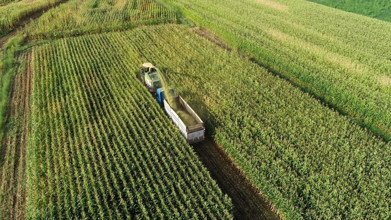 Sıkı bir gıda enflasyonu yola çıktı, geliyor