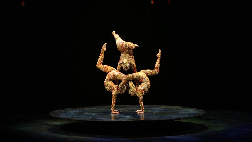 Cirque du Soleil, İstanbul'da 4 Günde 40 Bin İzleyiciyle OVO Gösterisini Gerçekleştirdi