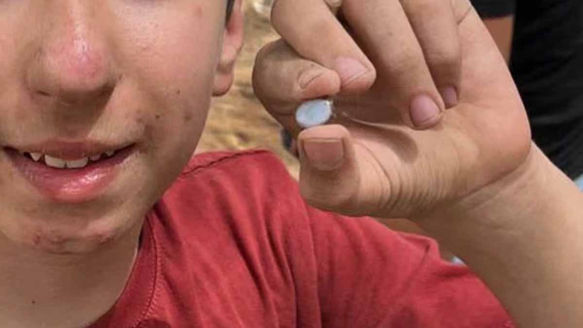 Okul ödevi yaparken 1500 yıllık imparator mücevheri buldu