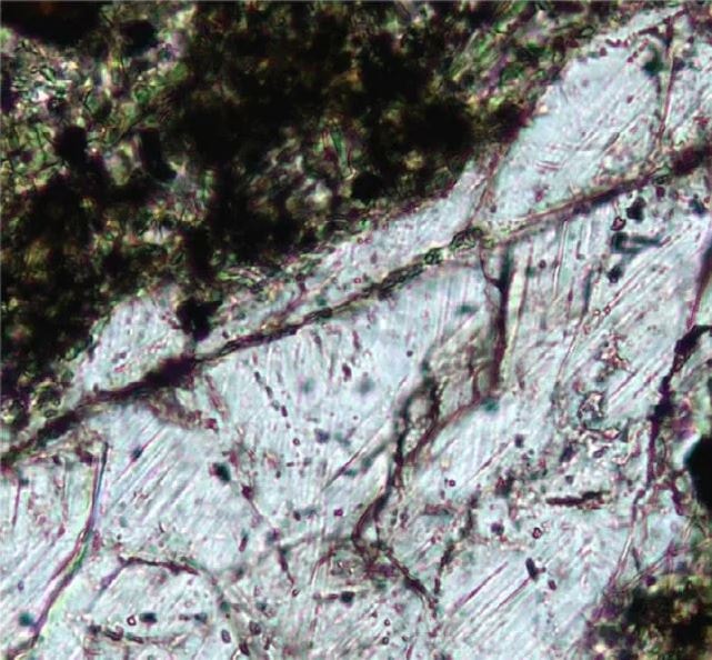Altın ararken antik meteor kıyametini ortaya çıkardılar