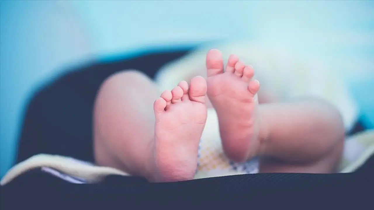 16 yıllık dosya çözüldü: Bebeği çöpe bırakan anneyi topuk kanı ele verdi