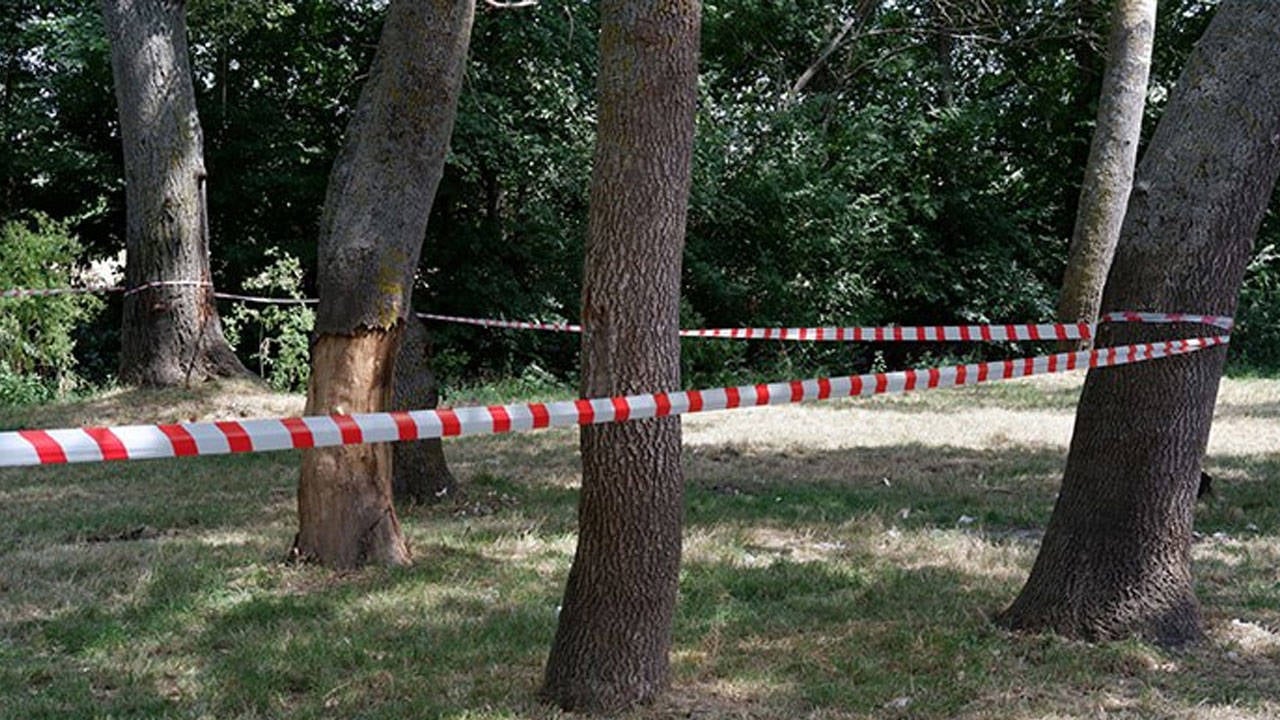 Edirne’de ormanlık alanlara girişler yasaklandı