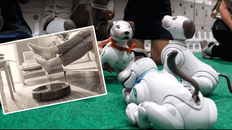 Robot süpürge bile eskidi: ‘Can dostu’ görünümlü asistan geliştirildi