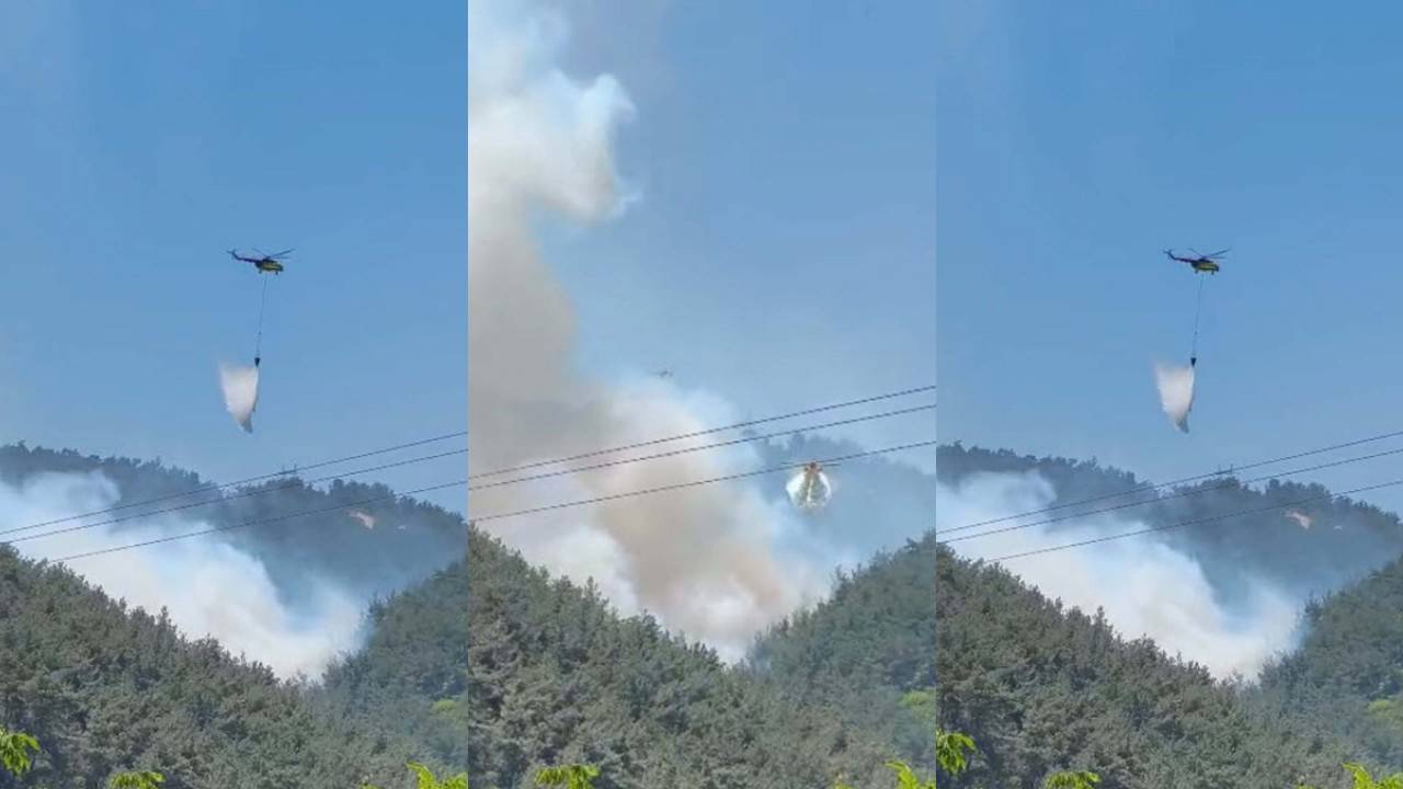 Antalya'da 2 orman yangını: Ekiplerin müdahalesi sürüyor