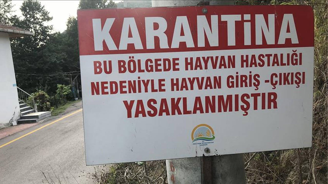 Yedi mahallede kuduz alarmı: Karantina başlatıldı