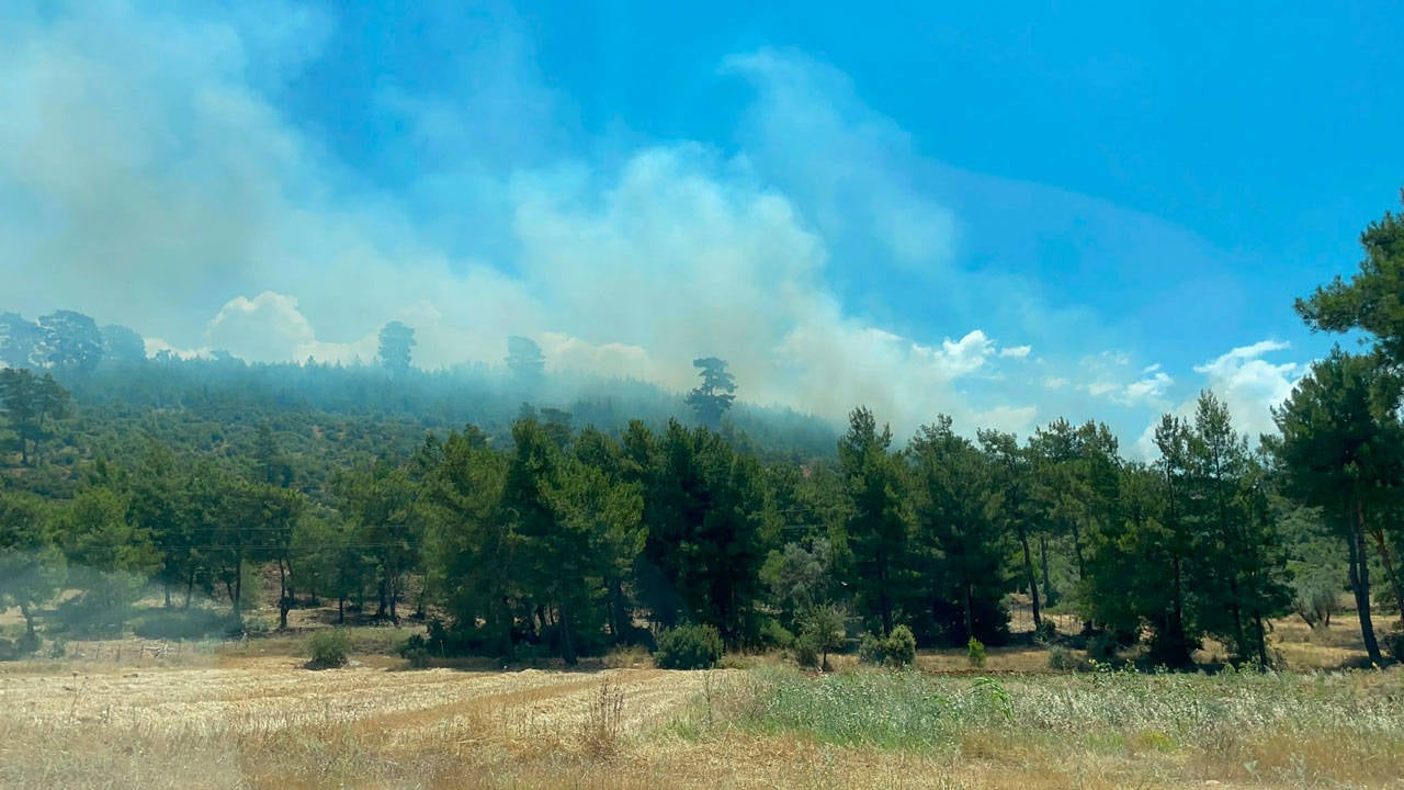 Antalya’da orman yangını