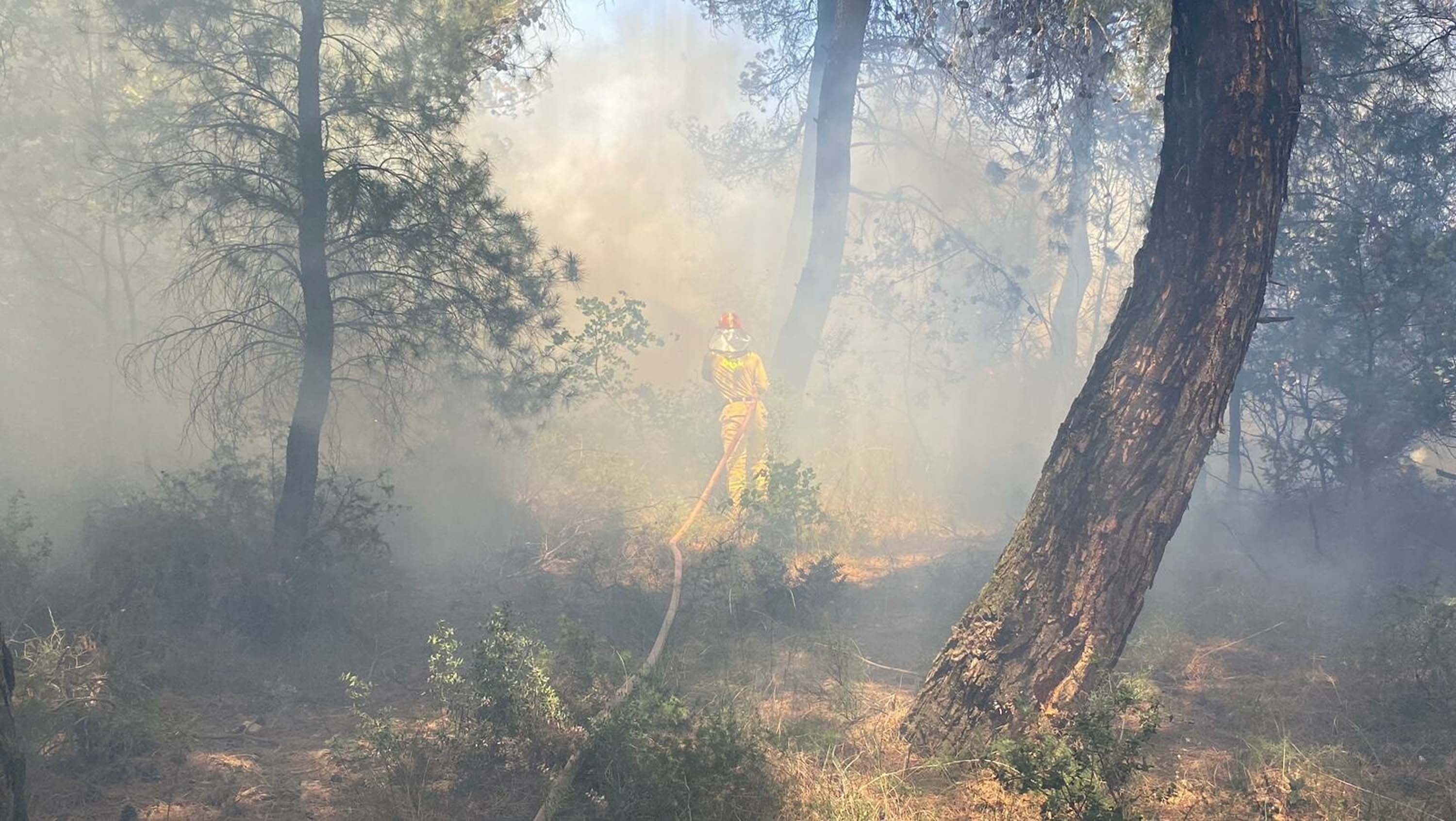 Çanakkale’de orman yangını