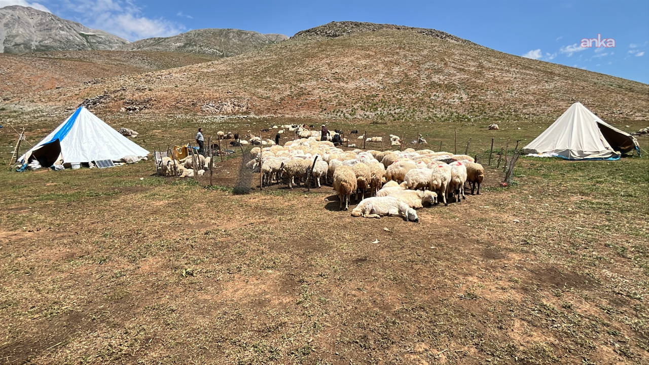 Kar yolları kesti: Temmuz geldi, yaylaya çıkamadılar