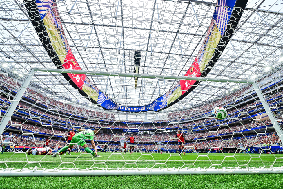 FIFA finalin oynanacağı sahanın çimlerini de satacak