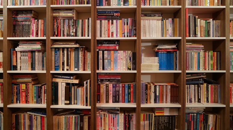 İddia: Yapay zekanın veri tekeli için sahaflardan bile kitap toplanıp imha ediliyor