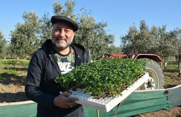 Hüsnü Şenlendirici hasat hazırlıklarına başladı