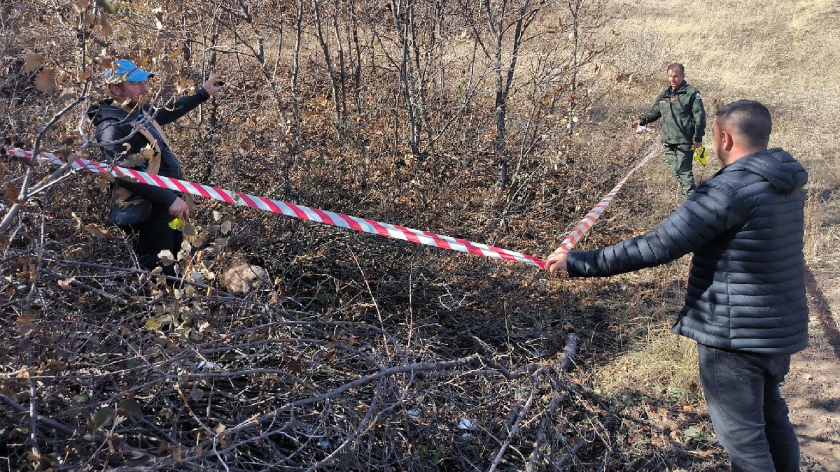 Gerçek olamayacak kadar büyük keşif: Erzurum’da toprağın 20 santim altında  22 ton trüf mantarı saptandı