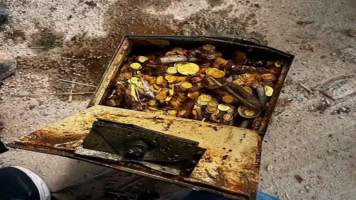 Zemindeki ipi çekince 30 kilo altın buldu