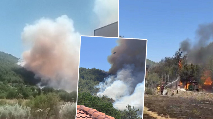 Muğla, Antalya, Aydın ve Afyonkarahisar’da orman yangını