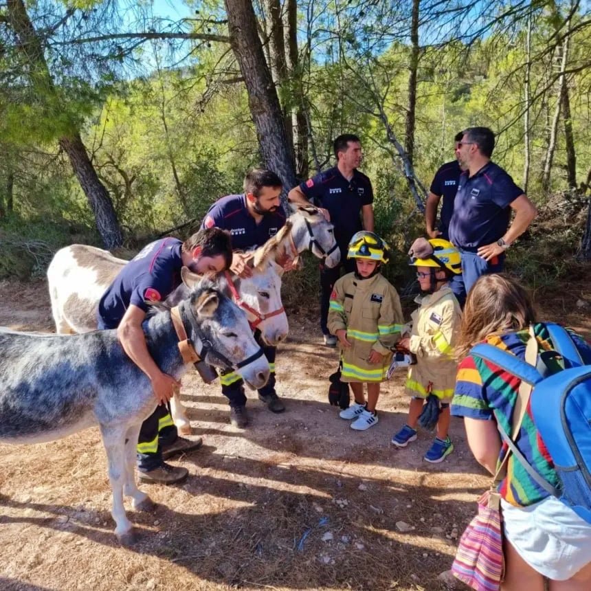 Orman yangınlarına karşı ‘itfaiyeci eşekler’ kullanılıyor