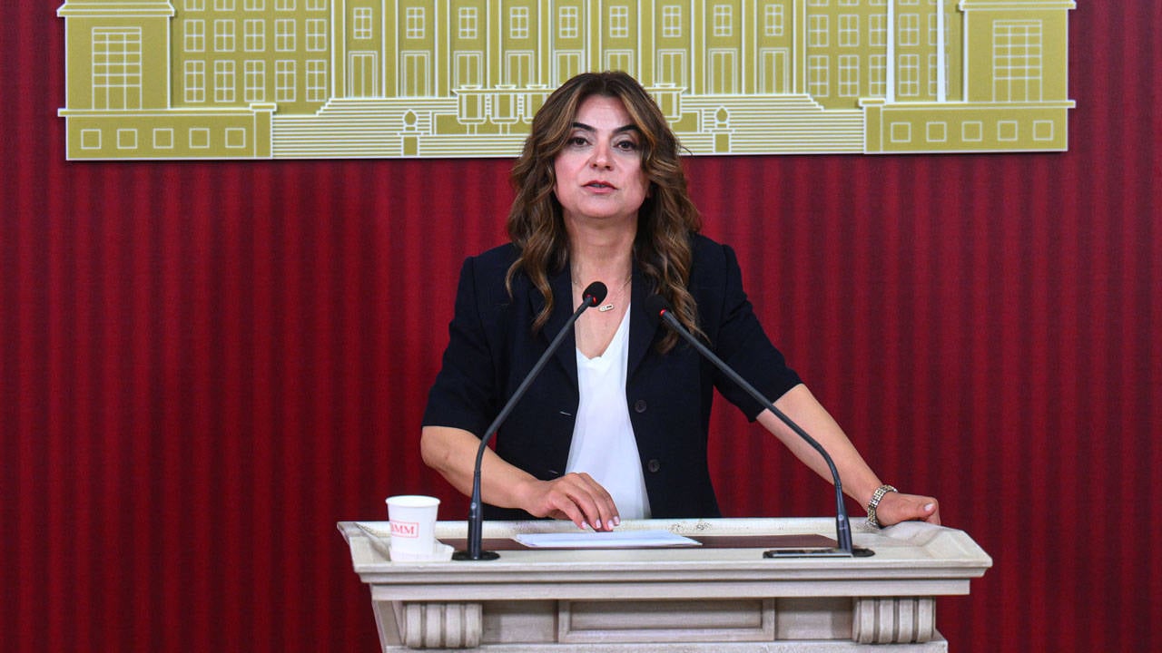 DEM Parti: ‘Silahların devreden çıkarılmasını hukuki güvenceye bağlamalı’
