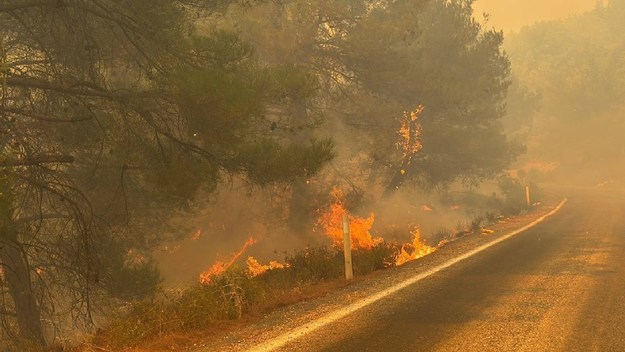 Orman yangını: Gömeç’ten Bergama’ya sıçradı