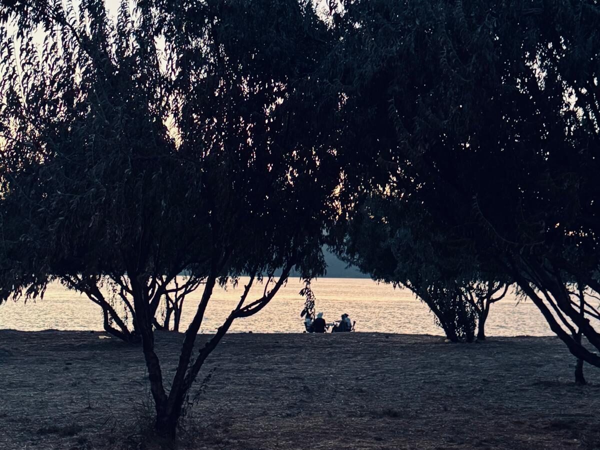 Çanakkale Külliyesi: Resimli Mısralarla Acı-Tatlı Tarifleri