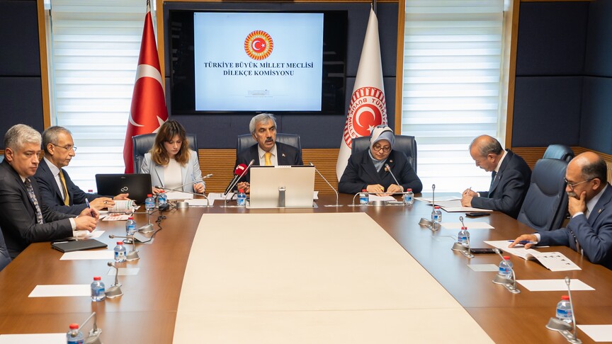 Meclise gelen dilekçelerden: ‘İstanbul kışlık, Ankara yazlık başkent olsun’
