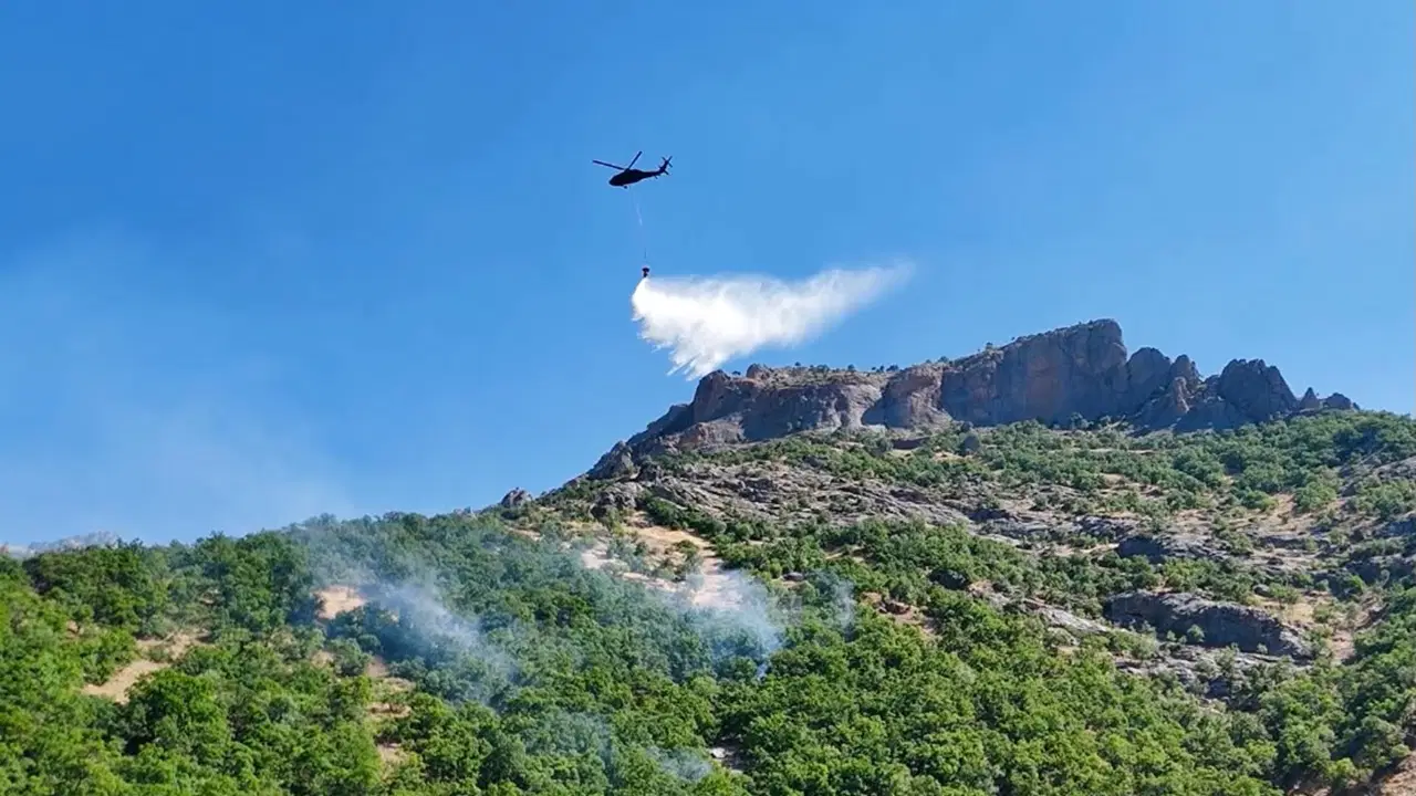 Munzur Milli Parkı’nda yangın: Gün ışıyınca kontrol altına alındı
