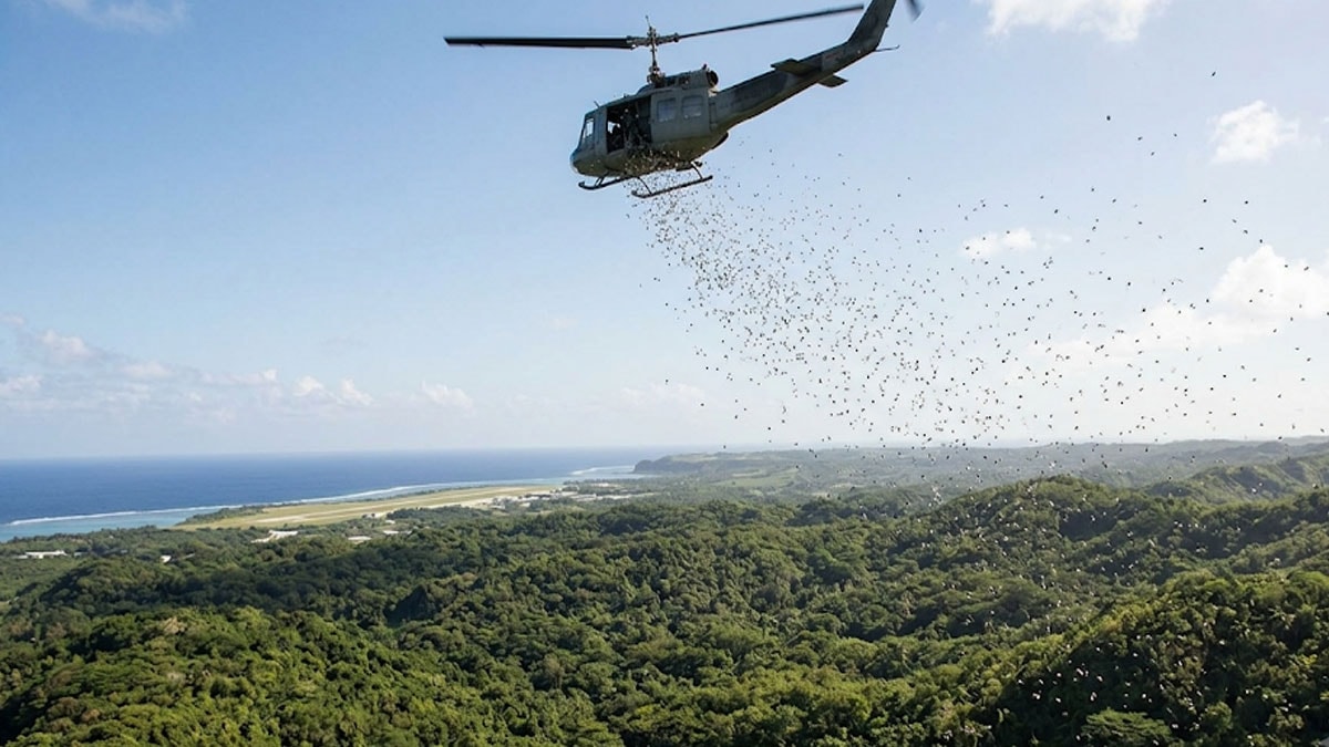Yılan nüfusunu azaltmak için helikopterle zehirli fare yağdırdılar