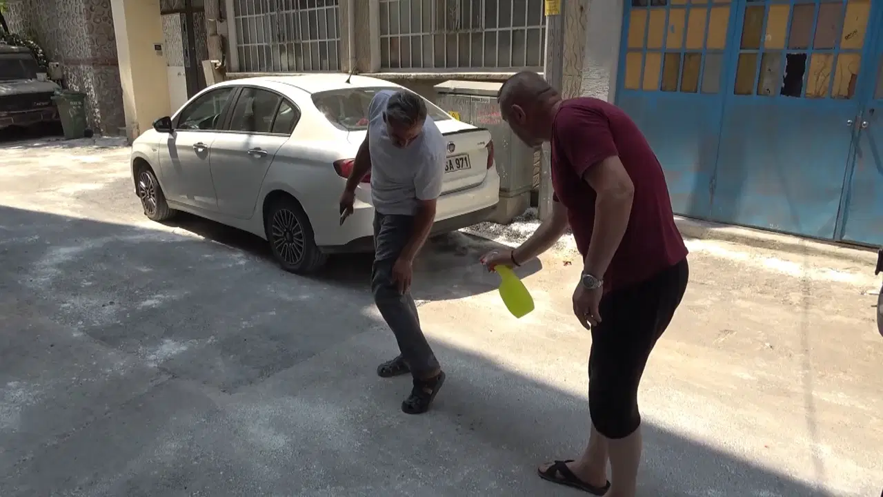 Sokağı pireler bastı: Çözümü lavanta yağında arıyorlar