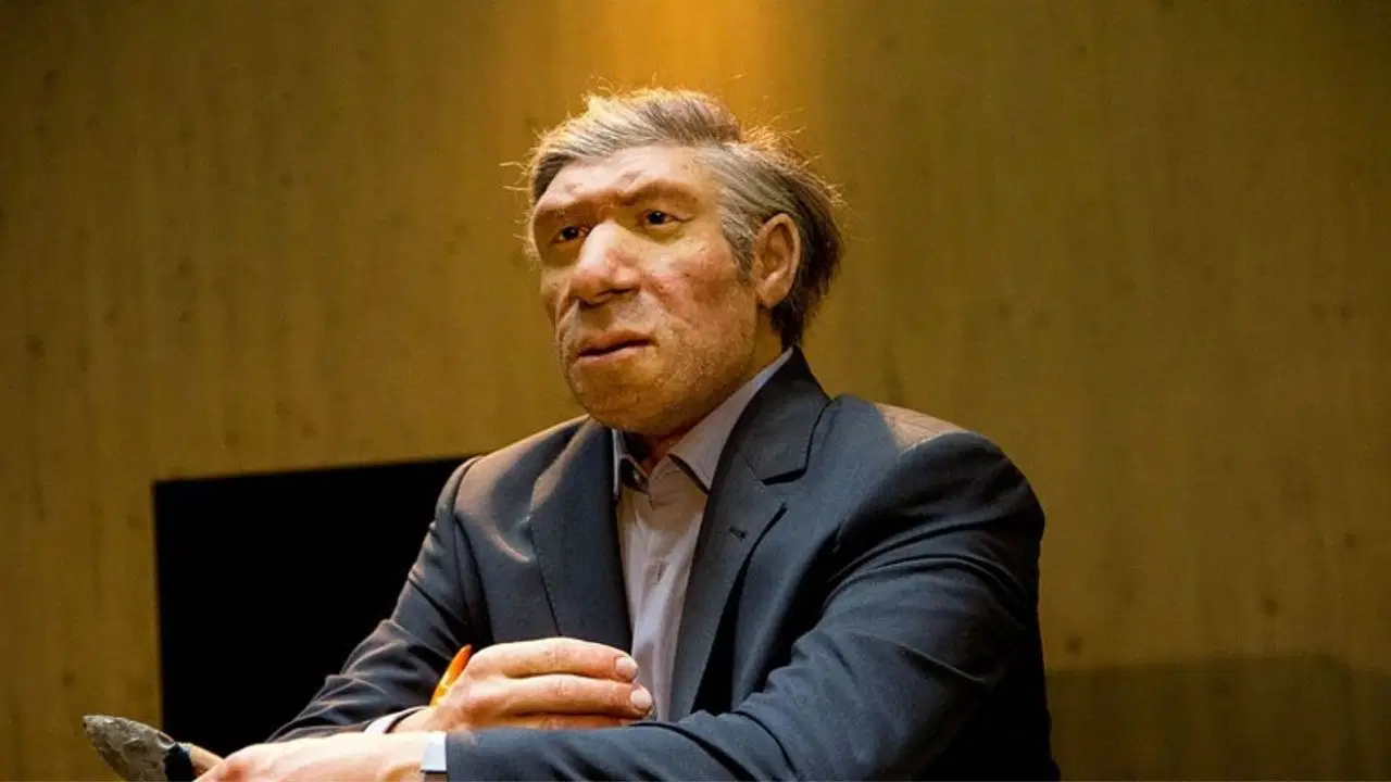 Uzun boylu ve kaslı mısınız? DNA’nızda Neandertal geni taşıdığınız için…