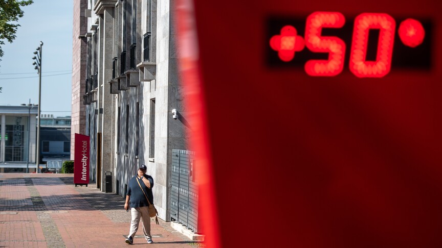 Almanya’da aşırı sıcaklar 12 bin 500 can aldı