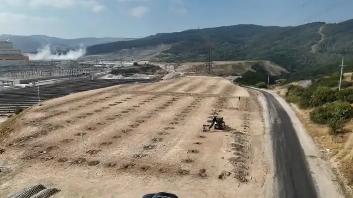 Türkiye’de bir ilk: Termik santralin suyuyla seralar ısıtılacak