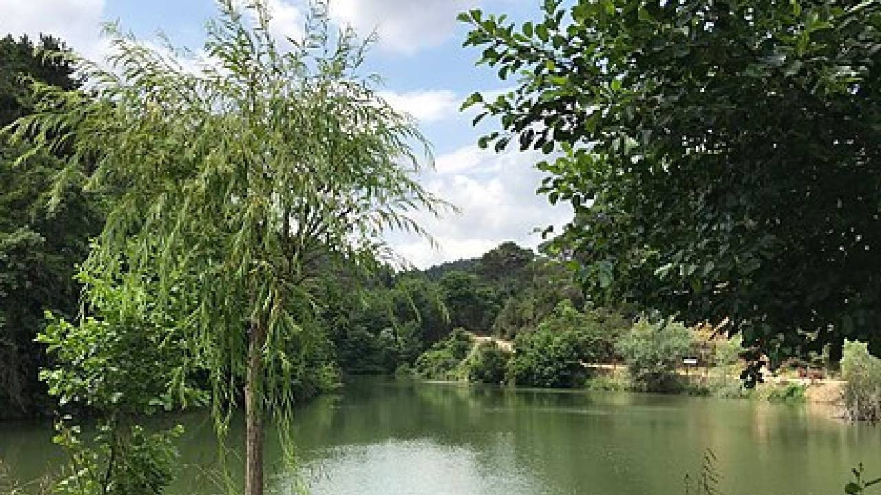 Kuvvetli rüzgar önlemi: İstanbul’da koru ve kent ormanları ziyarete kapatıldı
