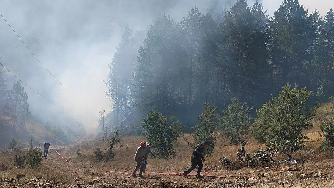 Bakan Gürlek açıkladı: 64 orman yangınıyla ilgili 11 kişi tutuklandı