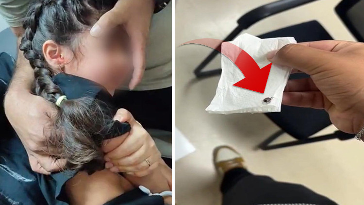 Beş yaşındaki çocuğun kulağından kene çıktı