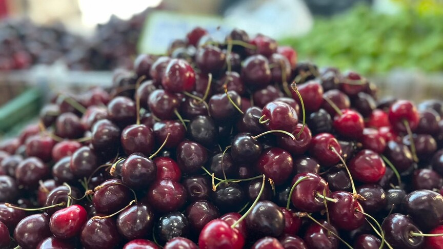 Yaş meyve ihracatı yedi aylık dönemde ilk kez 1 milyar dolar bandını aştı