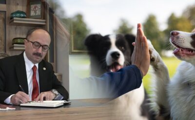 Yine başkası adına utandık