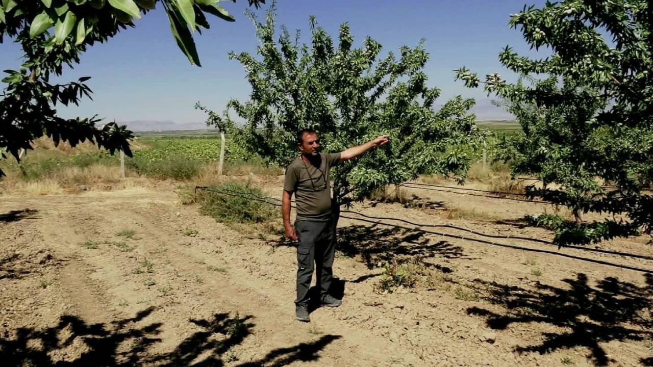 Halinden memnun tarımcı da var: Hobi olarak girdiği işte imparatorluk kurdu