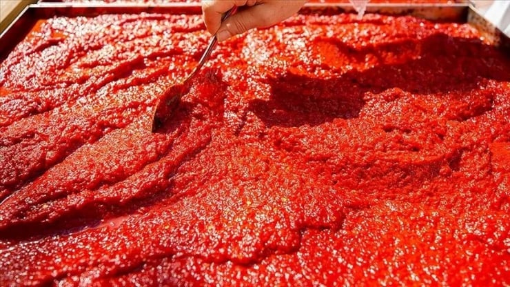 Araştırma kanıtladı: Domates salçası beyne iyi geliyor