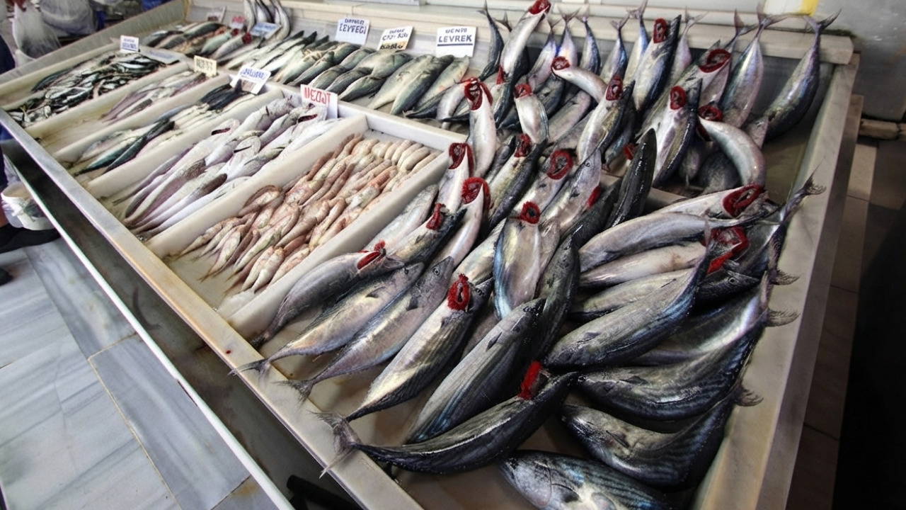 Palamut fiyatları 100 liraya kadar düştü