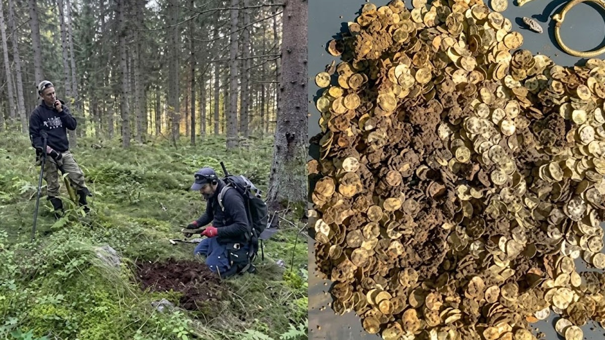 Köyün ortasında kilo kilo Viking hazinesi buldular
