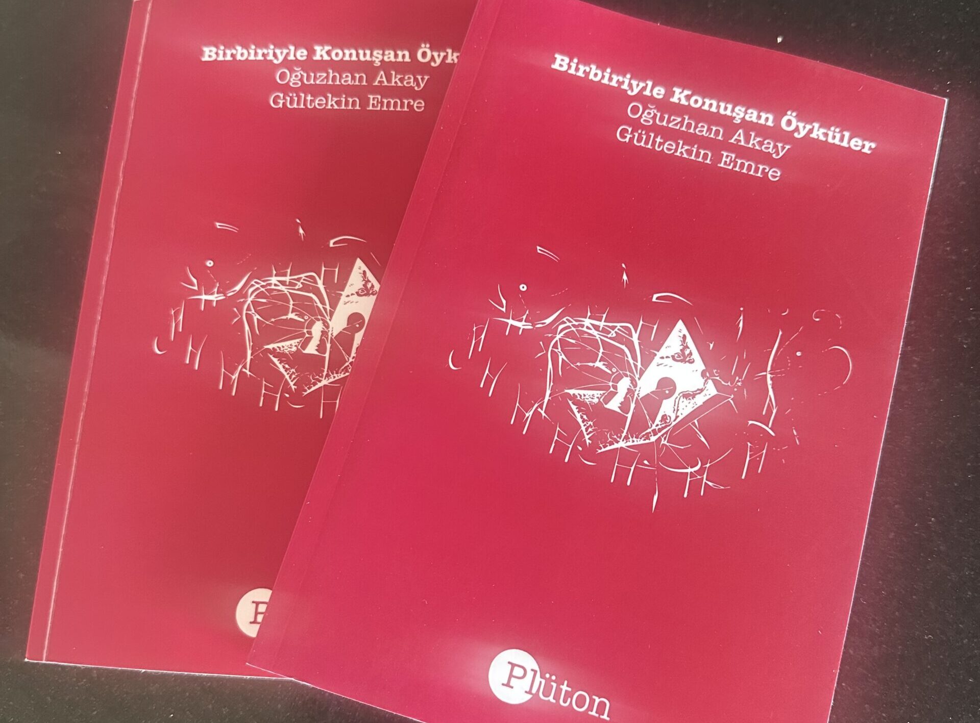 Saksıya ekilen kitap tohumu, 2 ayda 52 kısa öyküden oluşan bir kitap verdi