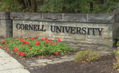 Amerika’nın konuştuğu üniversitede tecavüz: Cornell olayıyla ilgili bilinmesi gereken her şey