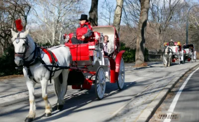 New York’taki fayton yasağından en zararlı çıkan Türkler olacak 