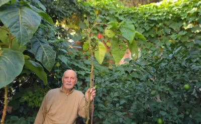 ‘Burada olmaz’ dediler, hepsini yetiştirdi: Karadeniz’in ‘dünya bahçesi’ onda