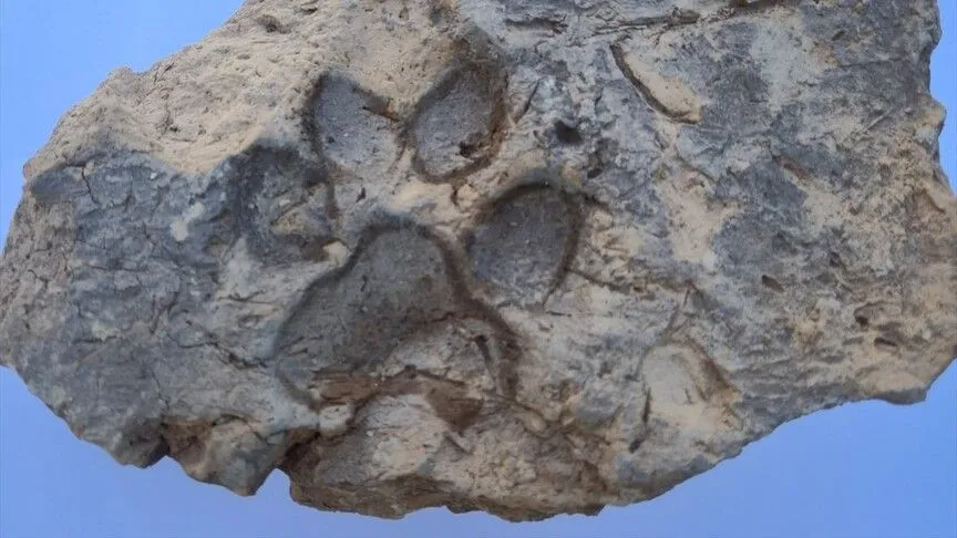 Tavşanlı Höyük'te 4 bin yıllık pati izi bulundu